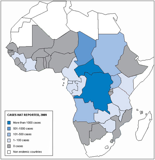 Everything You Need To Know About Sleeping Sickness