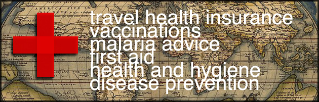 travel health planning
