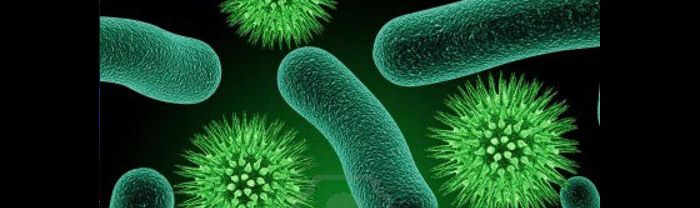 developing immunity to foreign bacteria
