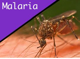 malaria information for travelers